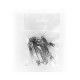 Broche Frances 6 cm